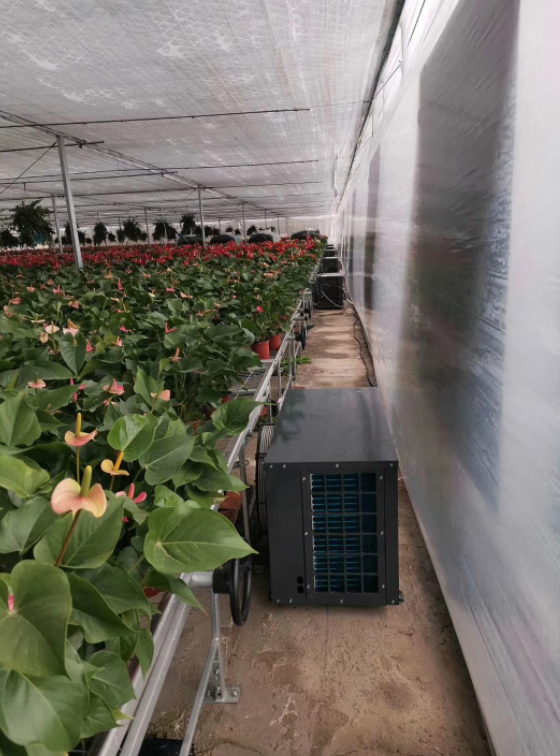 空氣源熱泵在溫室大棚加溫供暖中的優(yōu)勢(shì)