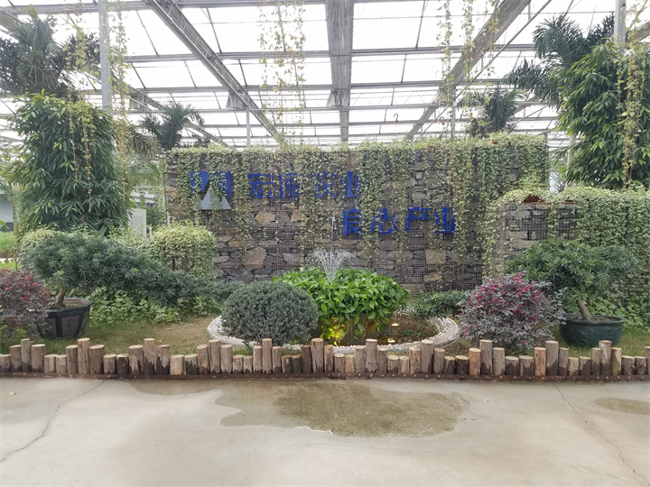 臨沂星期九生態(tài)觀光溫室