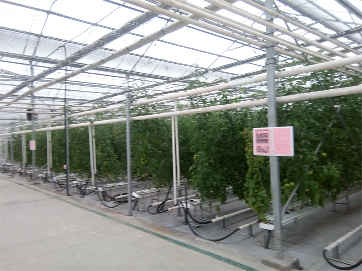 江蘇常熟隆力奇現(xiàn)代農(nóng)業(yè)產(chǎn)業(yè)園